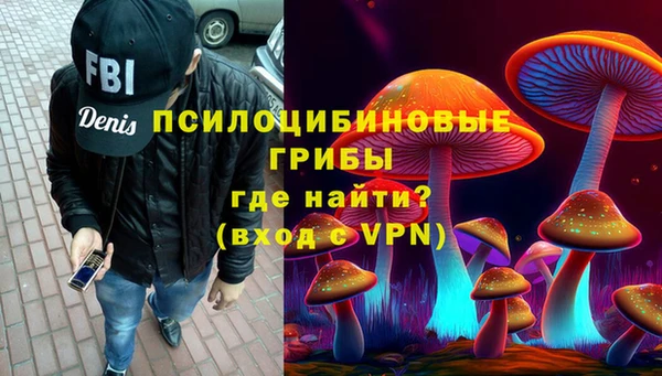 сатива Аркадак