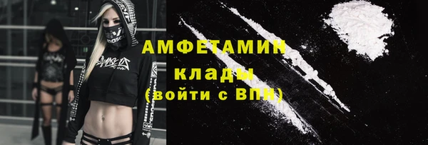 сатива Аркадак