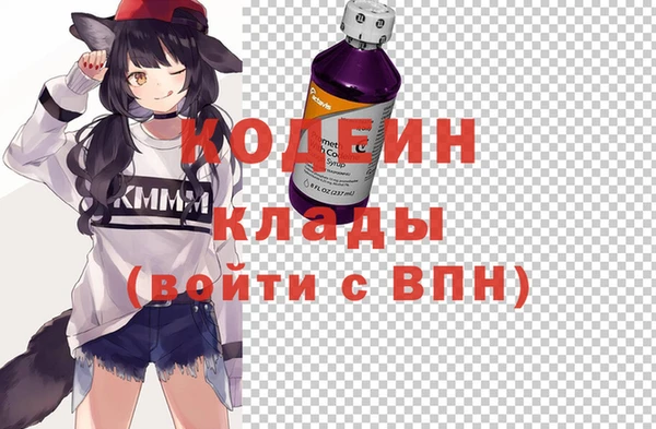 сатива Аркадак