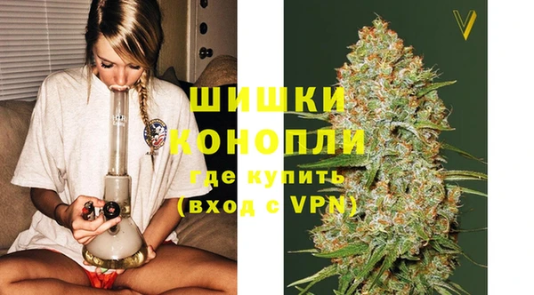 сатива Аркадак