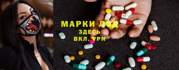 сатива Аркадак
