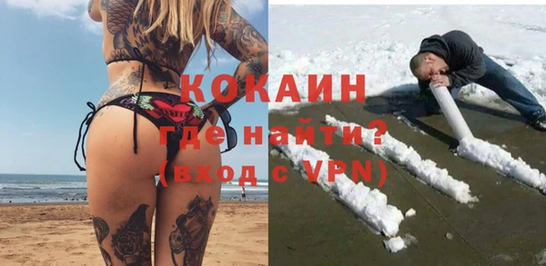 сатива Аркадак